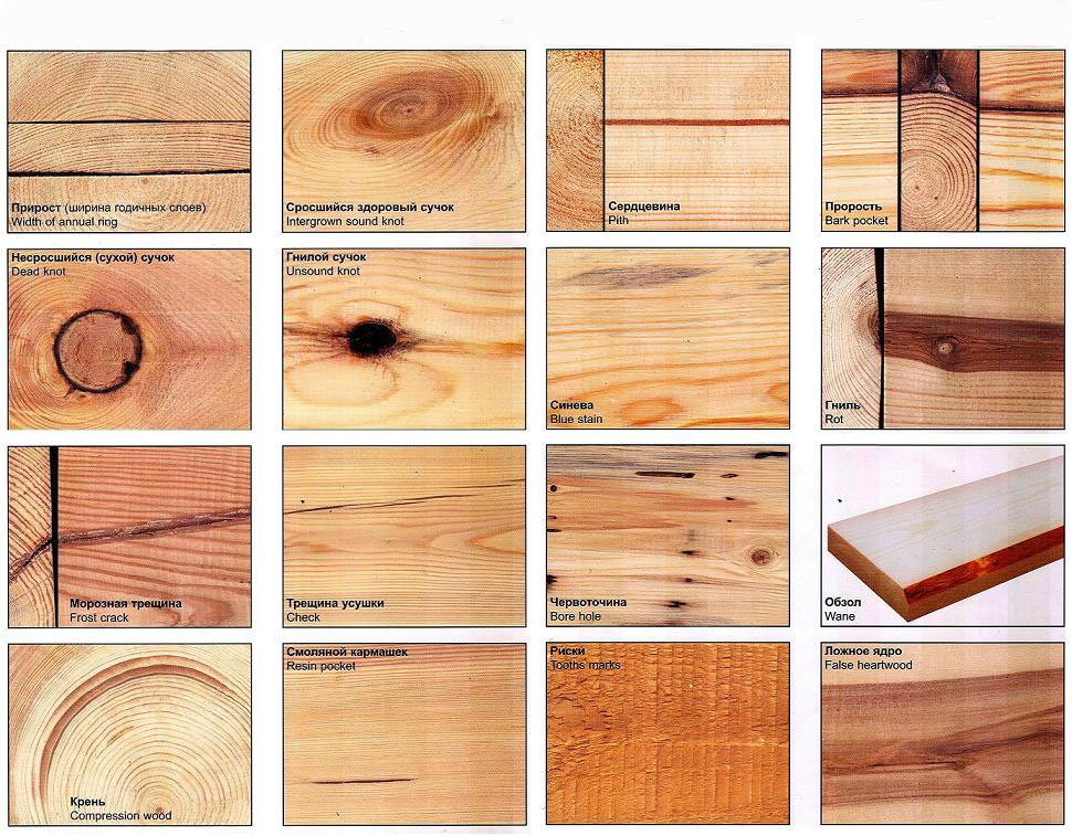 породы и дефекты древесины
